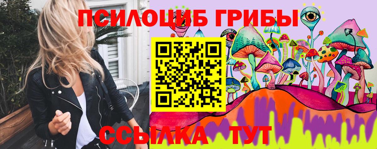 Галлюциногенные грибы прущие грибы  Вход с VPN  Домодедово 